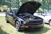 MUSTANG